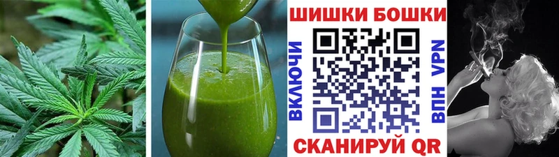 Купить закладки  Электрогорск  Cannafood конопля 