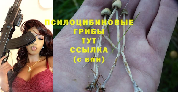 MDMA Карпинск