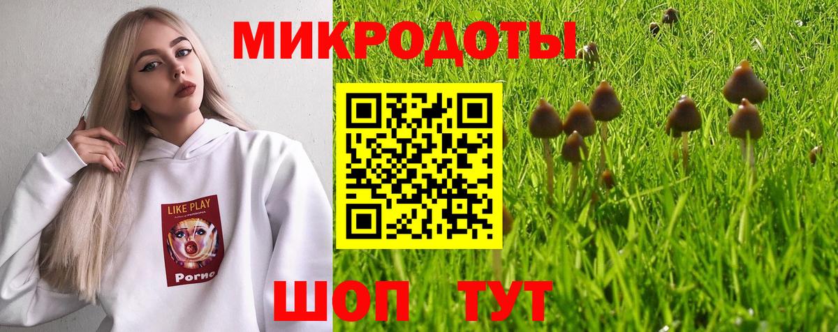 Электрогорск  Галлюциногенные грибы мухоморы  Вход с VPN 