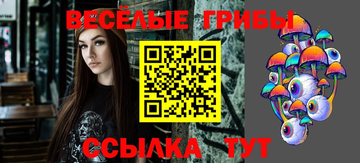 Псилоцибиновые грибы GOLDEN TEACHER Электрогорск
